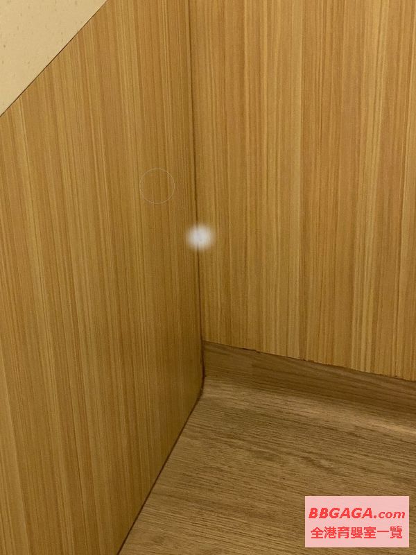 有小強 (經效果處理)